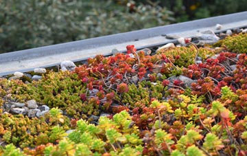 the cost of Bentpath green roof installation